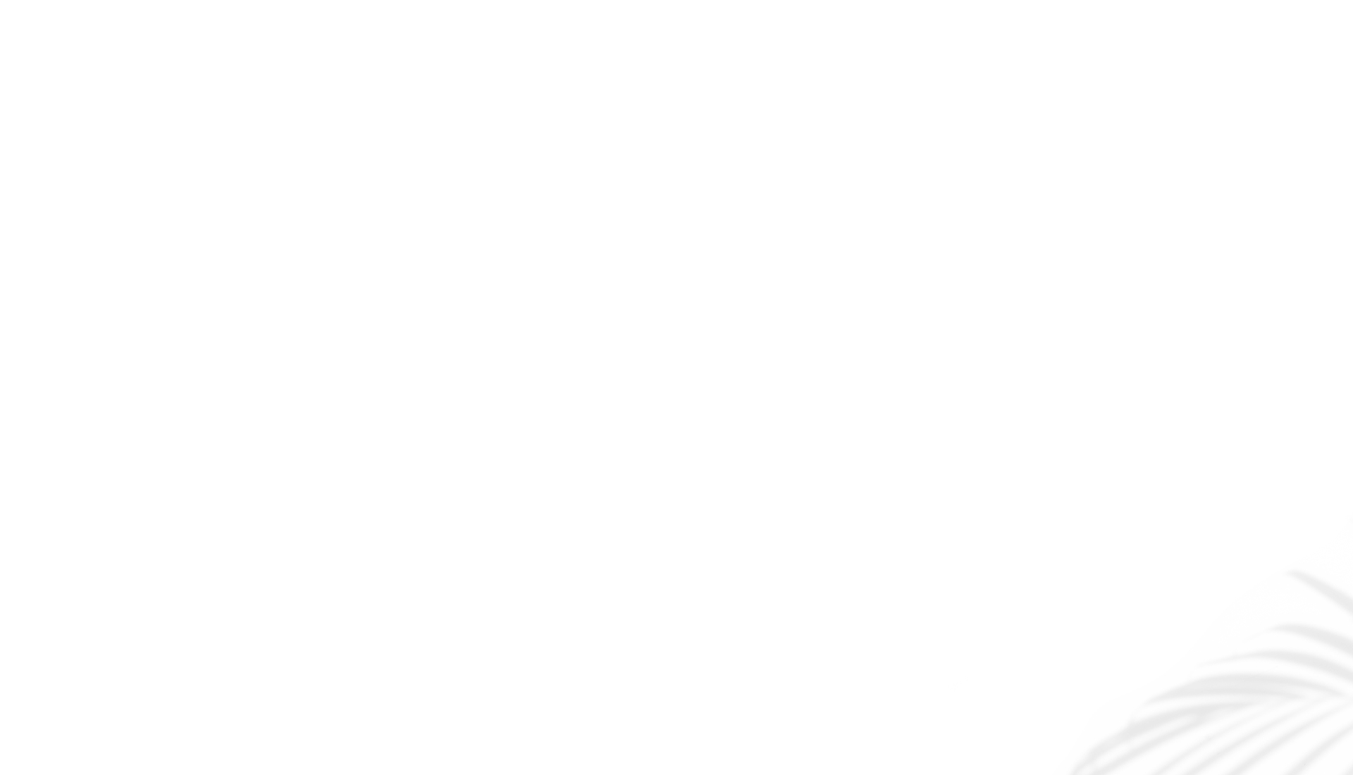 landing-slider-middle-background.jpg